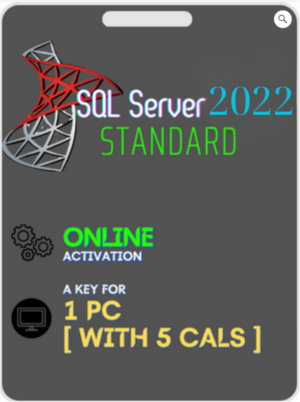 SQL Server 2022 Standard [ Unlimited Core ] Come With [ 5 Cals ]